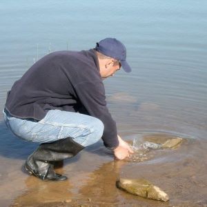 12998639 1372589786099825 2797851700882130657 n