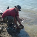 12998766 1372584202767050 3631161126478507550 n