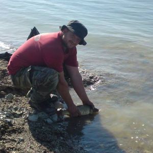 12998766 1372584202767050 3631161126478507550 n