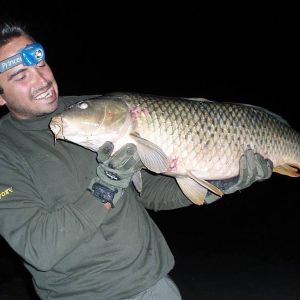 13000107 1372590839433053 8414495411726911789 n