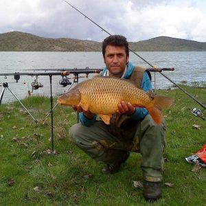 13001089 1372584892766981 3377768314702814807 n