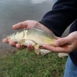 13001199 1372589912766479 5260440056275576431 n