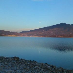 13001290 1372585019433635 6665392455479156141 n