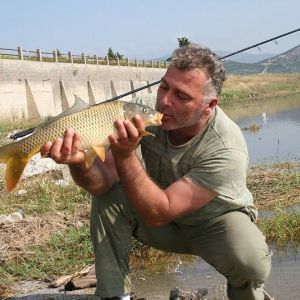 13006470 1372587522766718 41312335021364680 n