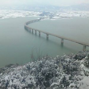 13006610 1372585432766927 3201306997000045773 n