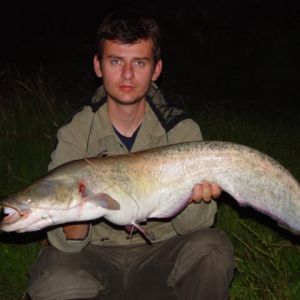 13006614 1372586086100195 5991336763483176299 n