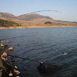 13007163 1372586182766852 3440878320984483200 n