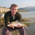 13007232 1372587409433396 8248949922183544185 n