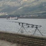 13007300 1372584932766977 6986276626514983105 n