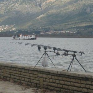 13007300 1372584932766977 6986276626514983105 n