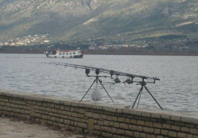 13007300 1372584932766977 6986276626514983105 n