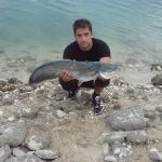 13012670 1372585809433556 7060426506026870699 n