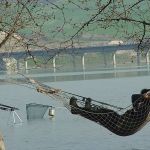 13012675 1372585956100208 1064200271051561832 n