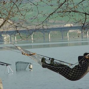 13012675 1372585956100208 1064200271051561832 n