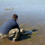 13012695 1372589802766490 4043501762866664192 n