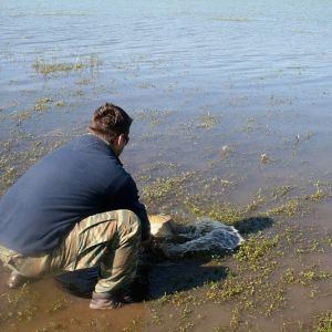 13012695 1372589802766490 4043501762866664192 n