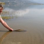 13012829 1372587536100050 3484984335995546926 n