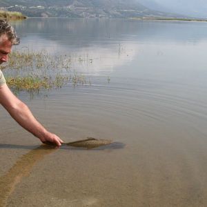 13012829 1372587536100050 3484984335995546926 n