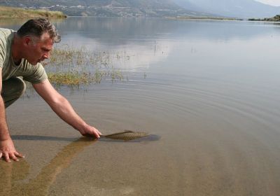 13012829 1372587536100050 3484984335995546926 n