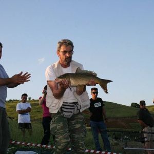 13012832 1372586606100143 1945850236031081405 n