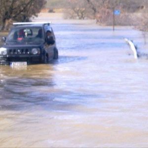 13012872 1372585279433609 5908337004131547384 n