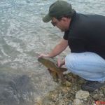 13012874 1372585319433605 958485493808379439 n