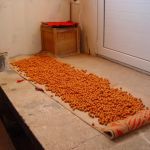 13015133 1372586066100197 105906455214036215 n