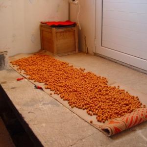 13015133 1372586066100197 105906455214036215 n