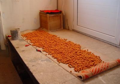 13015133 1372586066100197 105906455214036215 n