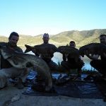 13015173 1372590766099727 7155594103785777857 n