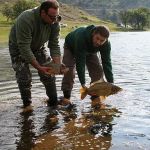 13015193 1372588806099923 2768185040084802794 n