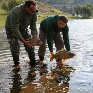 13015193 1372588806099923 2768185040084802794 n