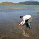 13015269 1372589852766485 702627956805144470 n