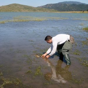 13015269 1372589852766485 702627956805144470 n