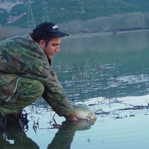 13015286 1372585889433548 1340674444460254180 n