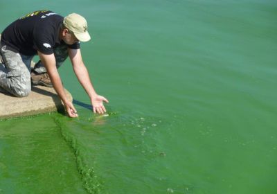 13015369 1372603626098441 261621745683575433 n