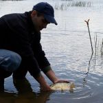 13015514 1372589602766510 2375488942969130388 n