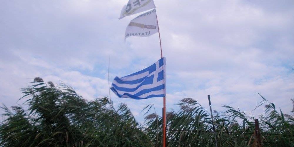 13029588 1372583799433757 5150025411476145014 o