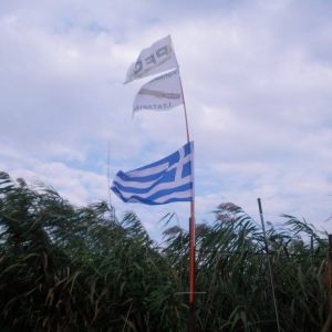 13029588 1372583799433757 5150025411476145014 o