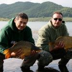 13043703 1372588969433240 355512866288511777 n