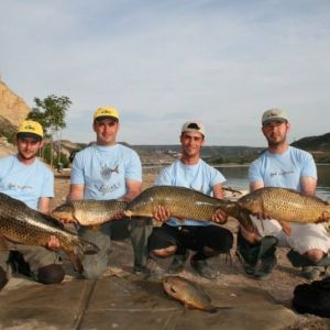 13051523 1372583909433746 1178456030884276077 n