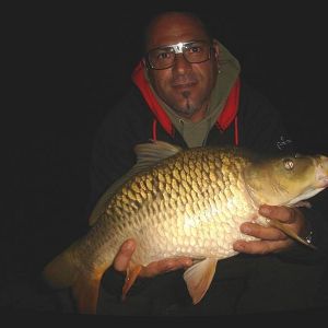 13051585 1372585799433557 2084707081081871441 n