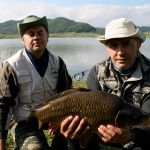 13055372 1372589036099900 8576837016681026940 n