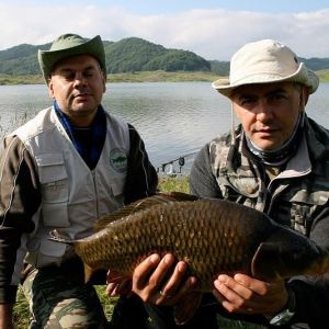 13055372 1372589036099900 8576837016681026940 n