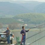 13055430 1372585862766884 4995640817012264346 n