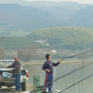 13055430 1372585862766884 4995640817012264346 n