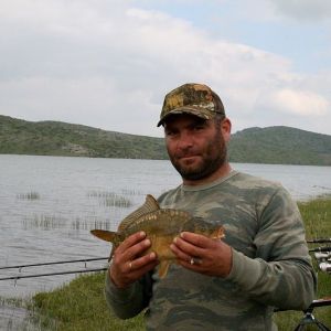 13055514 1372589119433225 8909857096740686971 n