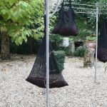 13055548 1372588279433309 4075618309786847369 n