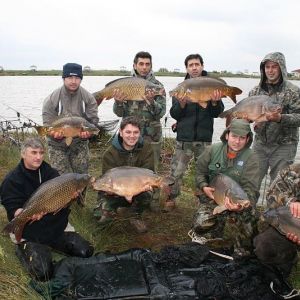 13061921 1372586156100188 935846685570059682 n