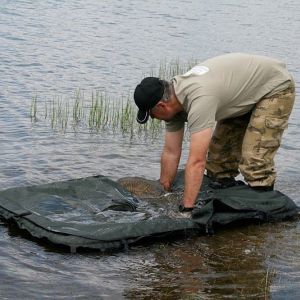 13061956 1372589249433212 2007072995801743614 n